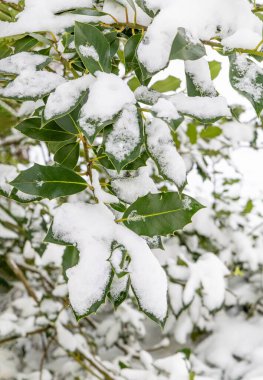 Snowy landscape of mountains port of Canencia in Madrid, Spain