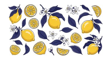 Canlı vektör illüstrasyon seti taze limon, dilimler, koyu mavi yapraklar ve narenciye çiçekleri. Gıda ve içecek ambalajı, kozmetik etiketleri veya yaz tekstil desenleri için ideal grafik elementler, yüksek