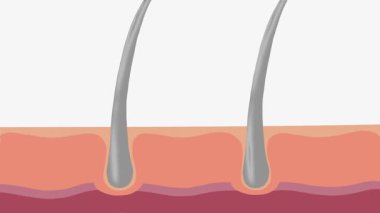 Serum damlaları ters gri saçlara 4k animasyon, organik içerik