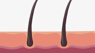 Saç grisi 4k animasyon, sıkışmış kök hücreler, pigment tükenmesi