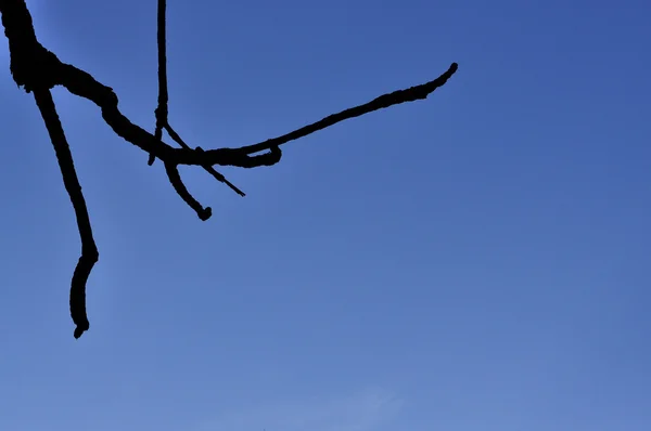 Arka plan için mavi gökyüzü