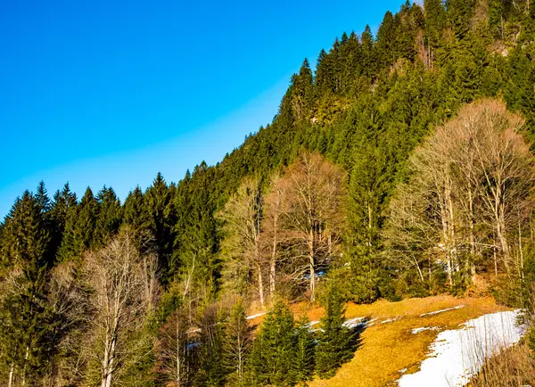 Berglandschaft im Frühling — Stockfoto