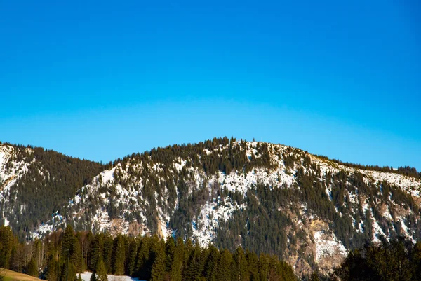 Fantastic winter landscape. — Stock Photo, Image