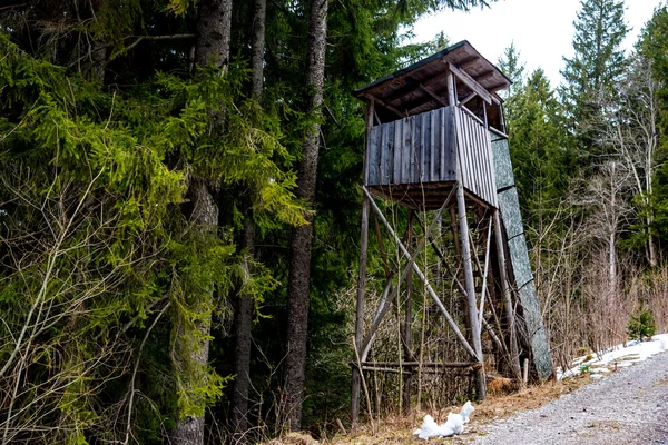 yükseltilmiş ahşap platform