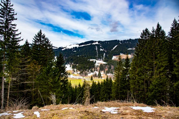 Paesaggio montano invernale con abeti — Foto Stock