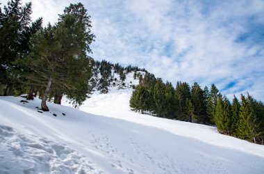 Almanya'da dağ manzarası