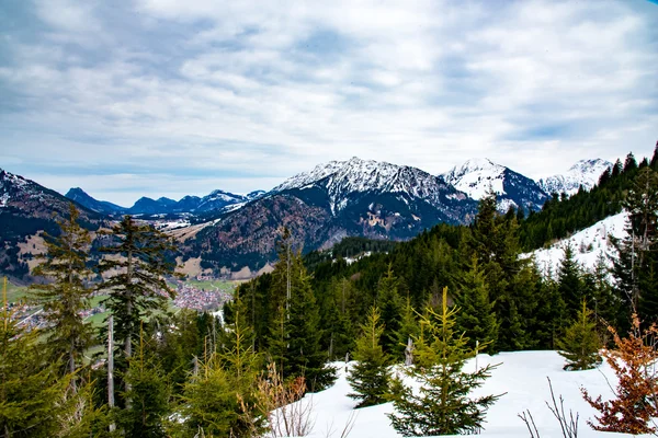 Foresta montana in Baviera — Foto Stock