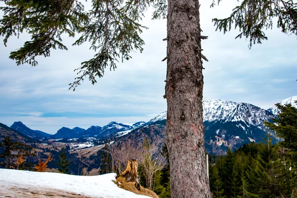 Bosque de montaña en Bavaria — Foto de Stock