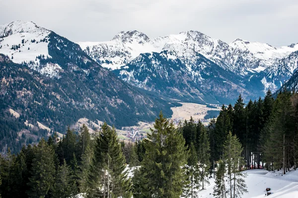 Sapins et montagnes en Allemagne — Photo