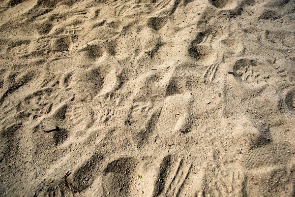 Textur von Sand und Fußabdrücken — Stockfoto