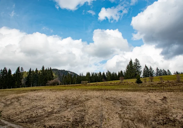 Amaizing berg äng i Bayern — Stockfoto