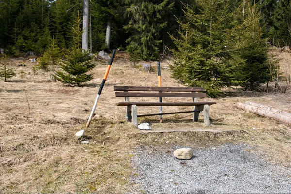 Banco en el bosque — Foto de Stock