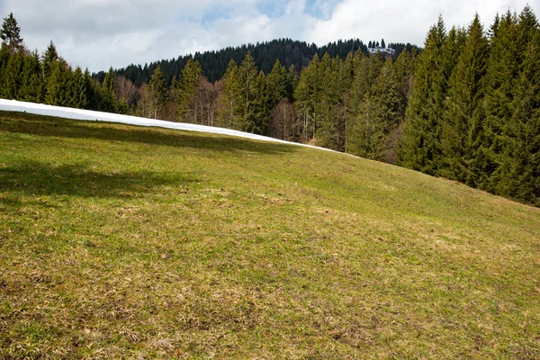 Amaizing горы луг в Баварии — стоковое фото