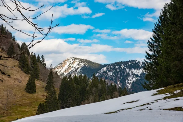 Traumhafte Berglandschaft in Bayern — Stockfoto