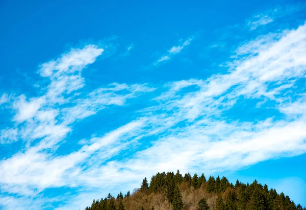 Hermosa cima de colina cubierta de hierba y el cielo en Baviera — Foto de Stock