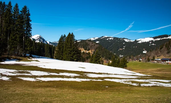 在巴伐利亚阿尔卑斯山的美丽景观尽收眼底 免版税图库照片