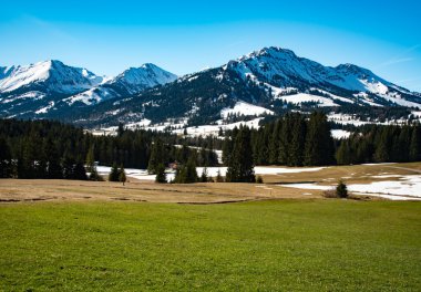 Taze yeşil çayırlar ile Alpleri'nde pastoral manzara