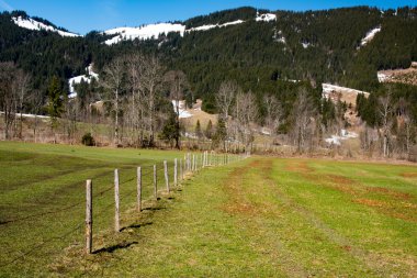 Bahar çimleri ve dağ.