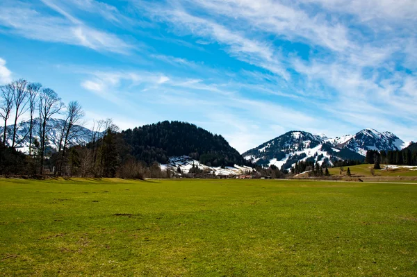 Prado fantástico e montanha na primavera - alemanha — Fotografia de Stock