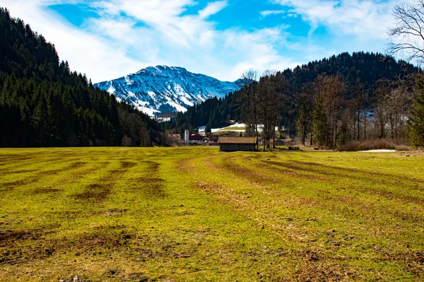 Prado fantástico y montaña en primavera - alemania Imagen De Stock