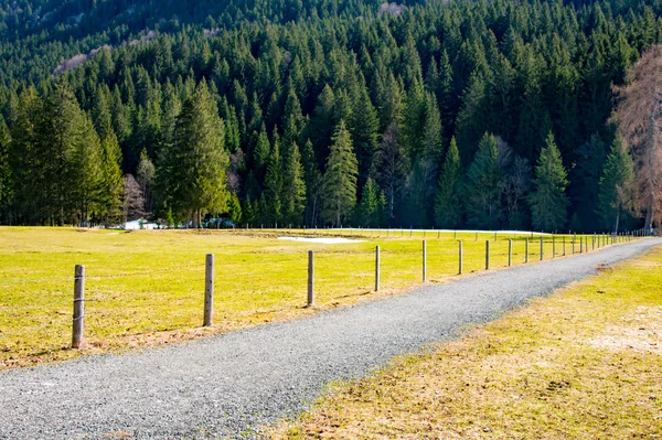 El camino en las montañas, bavaria — Foto de Stock