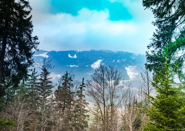 Bewaldeter Berghang in tief hängenden Wolken — Stockfoto