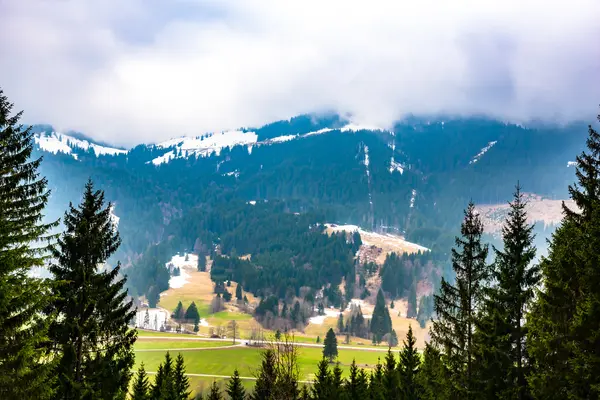 Forested mountain slope in low lying clouds — Stock Photo, Image