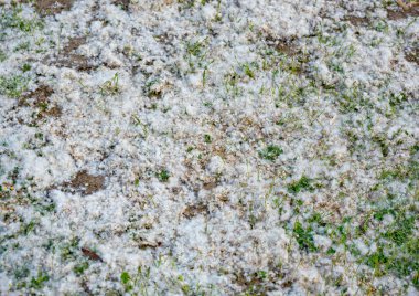 açık havada yere tüy