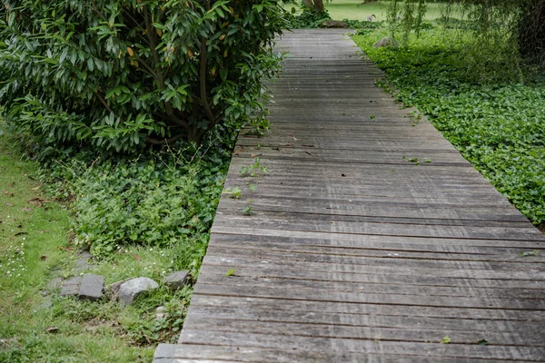 Ponte in legno in un bosco lungo il sentiero del trekking — Foto Stock