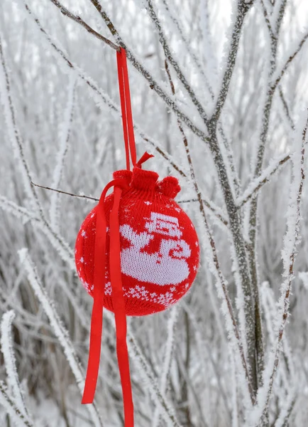 Red Christmas ball on a snow-covered tree branch.Christmas Backg — Stock Photo, Image