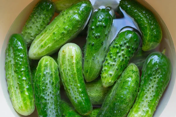 Cucumber Water. Vegetable — Stock Photo, Image