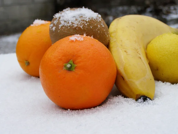 Früchte im Schnee — Stockfoto