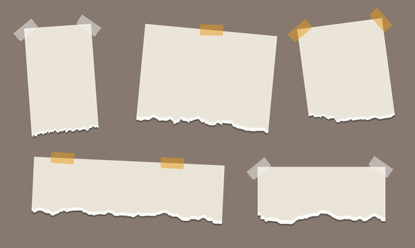 Pack of torn paper of various shapes with a plaster. Torn white paper with sharp tear set. Scrap sheet collection isolated. Ripped note with empty space vector illustration.