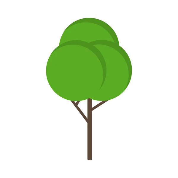 Árbol Planta Hoja Naturaleza Vector Ilustración Bosque Verano Verde Icono — Vector de stock