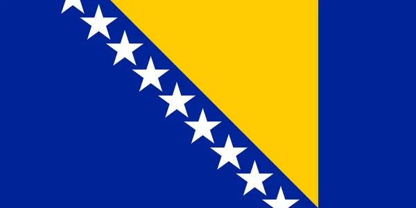 Flagge Bosnien Und Herzegowina Vektor Illustration Symbol Nationales Ländersymbol Freiheitsfahne — Stockvektor