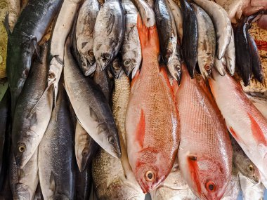 Geleneksel bir pazarda sergilenen taze deniz ürünleri, kırmızı levrek ve çeşitli okyanus balıklarının güzelce satışa sunulması..