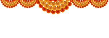 Marigold çiçekleri dekoratif asma elementi