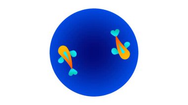 Sualtı ortamlarında görülen uyum, takım çalışması ve doğal su şekillerini temsil eden dairesel bir hareketle yüzen bir grup balık.