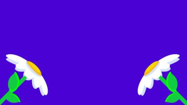 Bir papatya güçlü bir açıyla dışa doğru eğilir, dinamik hareket izlenimi verir, rüzgar ya da çevresel değişimlere tepki verir gibi.