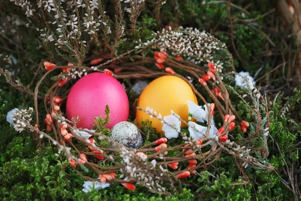 Easter eggs in a basket with a green moss — Stock Photo, Image