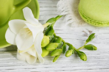 Fincan sade kahve, beyaz Frezya çiçek ve tatlı pastel fren