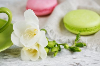 Fincan sade kahve, beyaz Frezya çiçek ve tatlı pastel fren