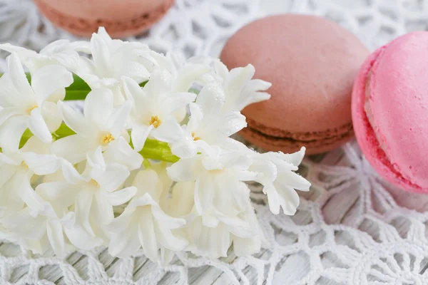 Taza de té verde, macarrones de color y flores blancas — Foto de Stock