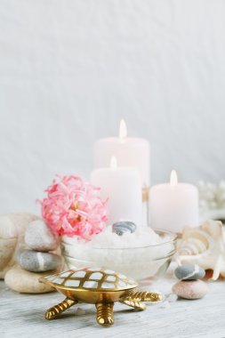 Ahşap arka planda spa tedavisinin bileşimi