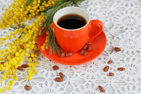 Tasse und Mimose — Stockfoto