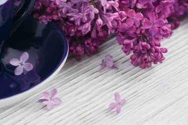 Fincan sade kahve, Eflatun çiçekler ve tatlı pastel Fransız macar