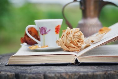 Natürmort antika sürahi, açık kitap, kurutulmuş gül ve Kupası o