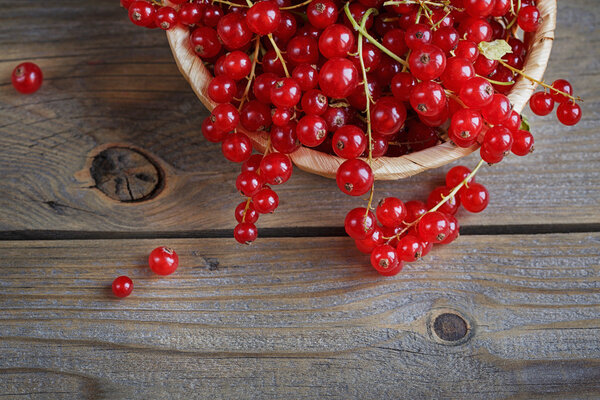 Red currant on brown wooden table