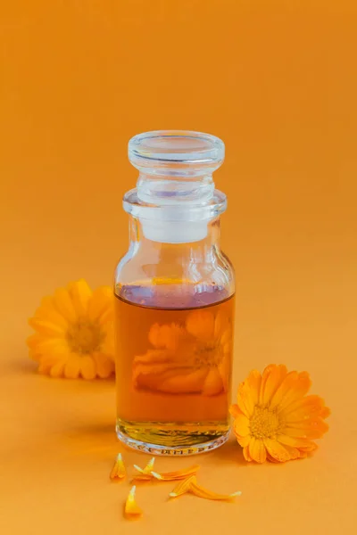 Bottle Pot Marigold Tincture Infusion Fresh Calendula Flowers Orange Background — Stock Photo, Image