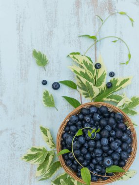 Beyaz ahşap arka planda bir sepet dolusu taze yaban mersini ve yaprak. Sağlıklı beslenme ve diyet gıda kavramı.